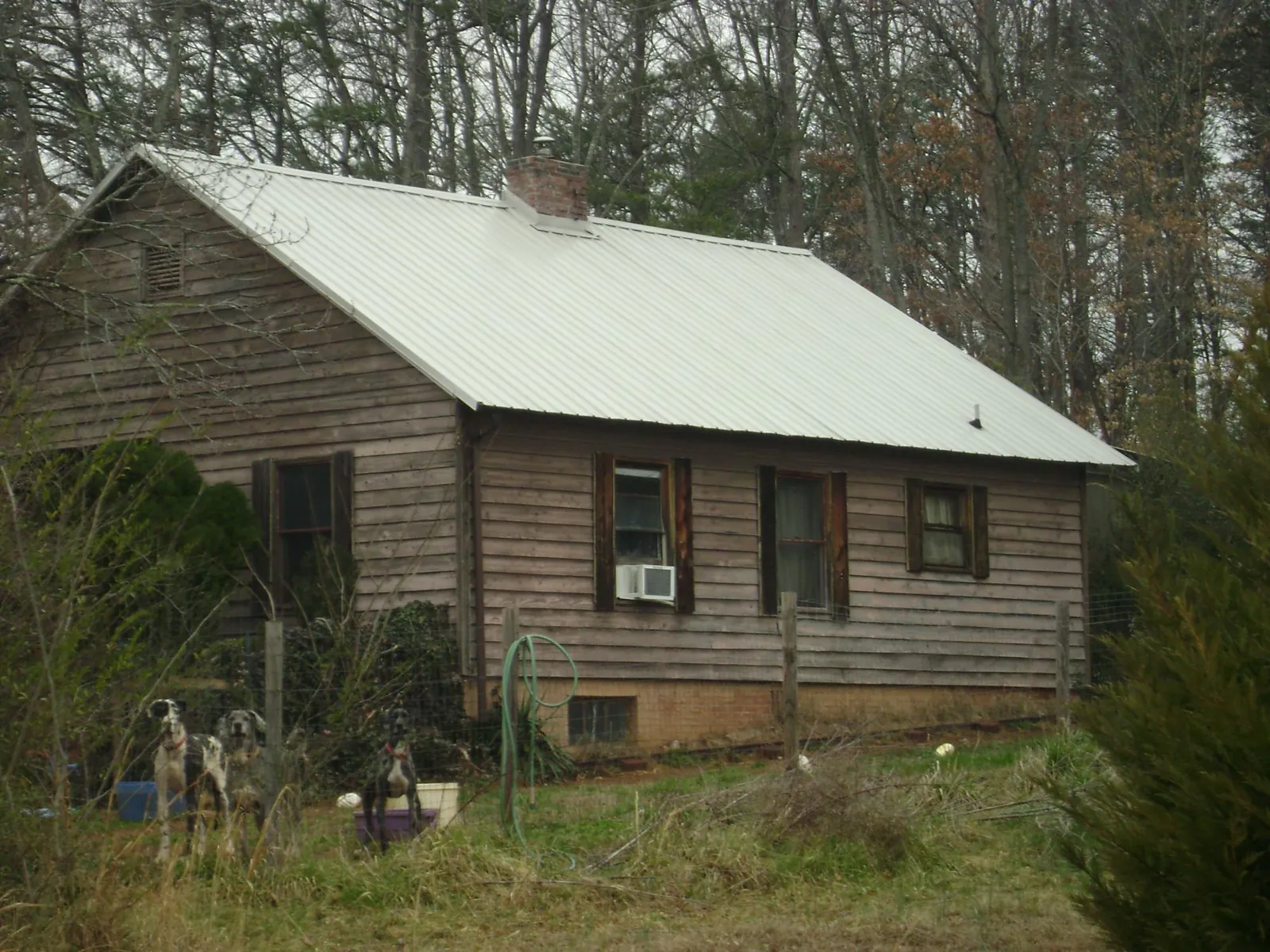 White metal roof on an old wood sided farmhouse, from a Asphalt Shingle Roof Repair job in Upland